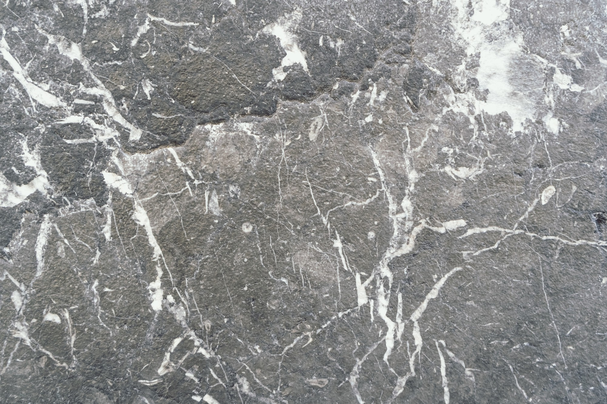 The Beauty of Grey William Marble: A Comprehensive Guide
