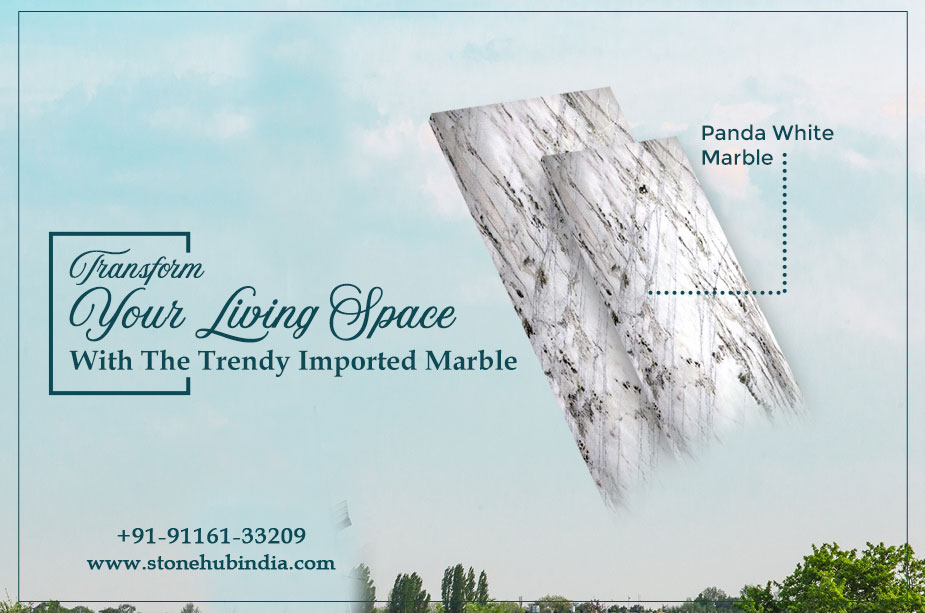 Transform Your Living Space With The Trendy Imported Marble 