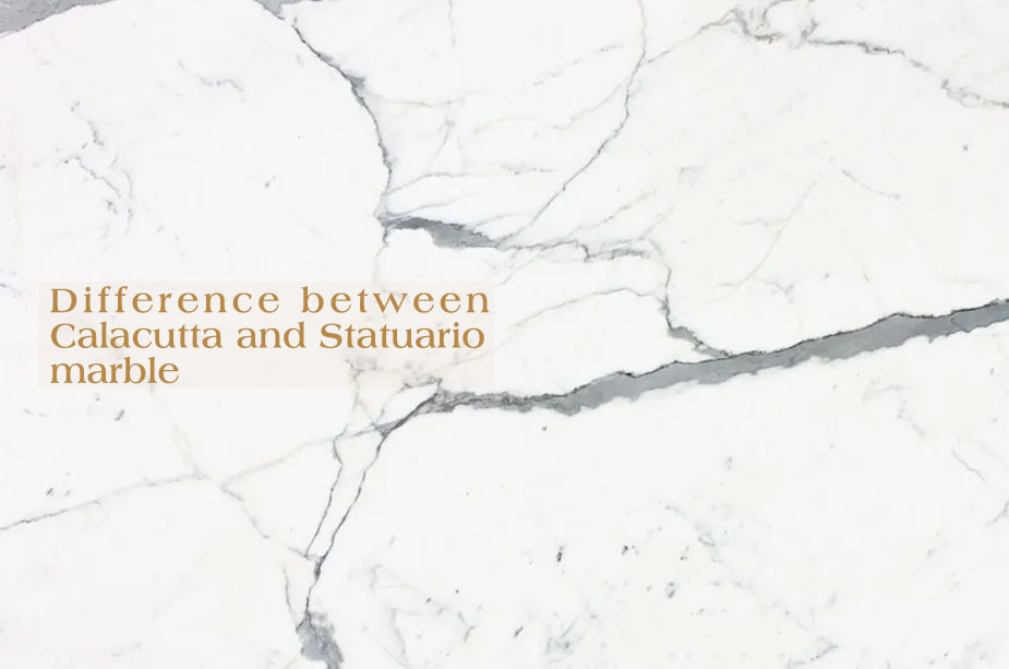 What is the difference between Calacatta and Statuario marble? 