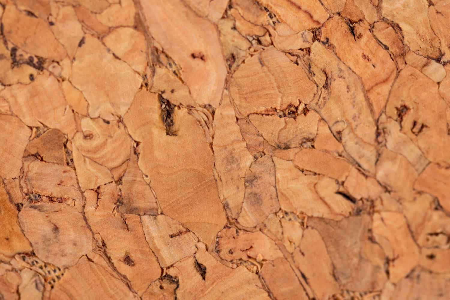 The Most Trending African Brown Marble of 2024: From Africa to Italy