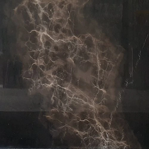 African Brown Marble