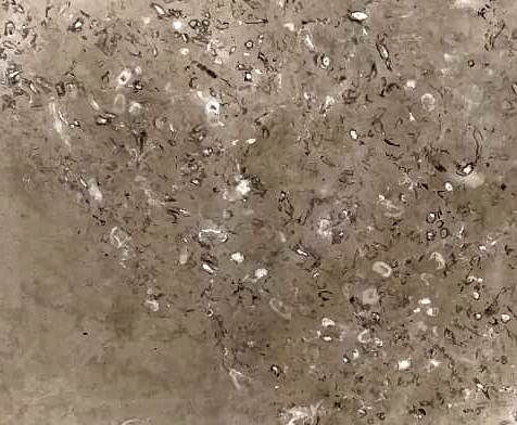 Grey Sparrow Marble